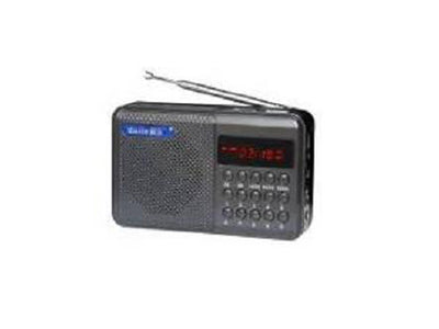 Radio Portátil Multimedia Premier RD-5447